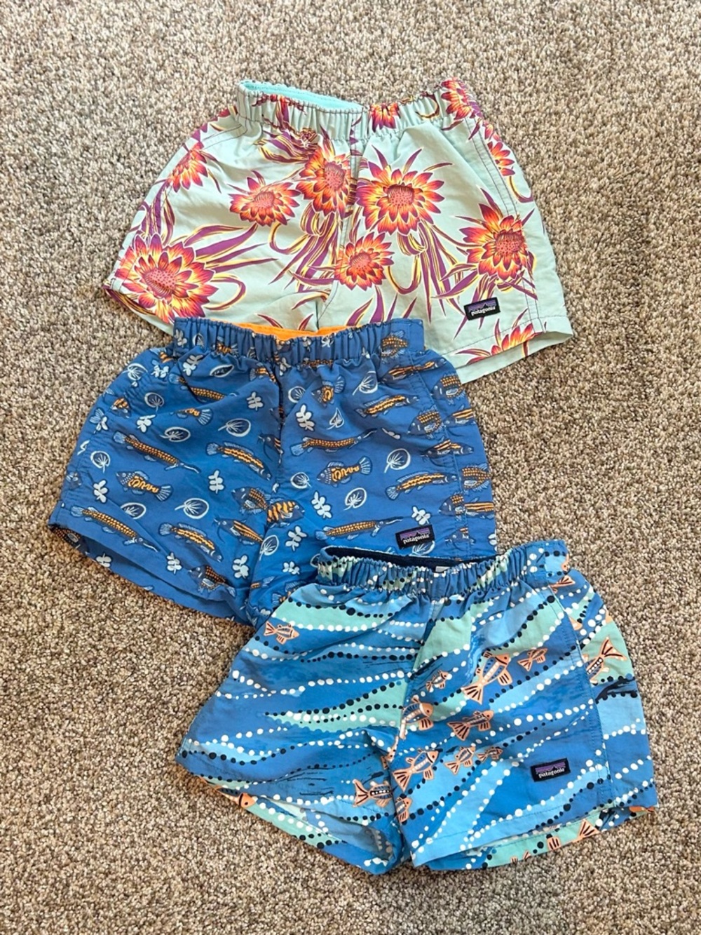 Patagonia Swim Trunks Bundle